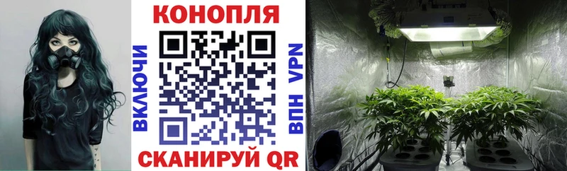 Виды наркотиков купить Пермь Бошки Шишки  Мефедрон  COCAIN  A-PVP  Амфетамин  Гашиш 