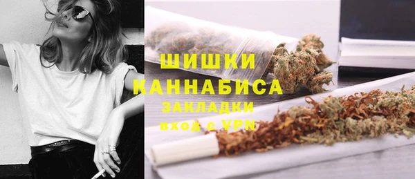 таблы Богородицк