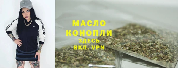 таблы Богородицк