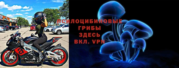 таблы Богородицк